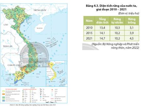 Dựa vào hình 4.1, bảng 4.3 và thông tin trong bài, hãy phân tích đặc điểm phân bố tài nguyên rừng