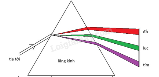 Giải SGK Khoa học tự nhiên 9 (Chân trời sáng tạo): Ôn tập chủ đề 2 (ảnh 2)