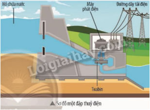 Giải SGK Khoa học tự nhiên 9 Bài 2 (Chân trời sáng tạo): Cơ năng (ảnh 1)