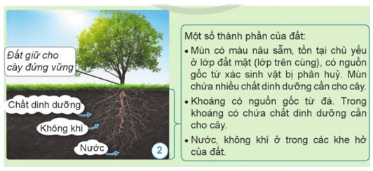 Khoa học lớp 5 Cánh diều Bài 1: Đất và bảo vệ môi trường đất