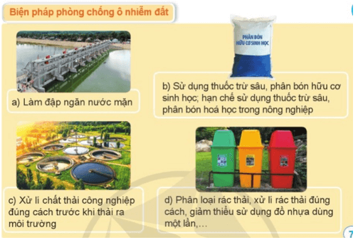 Khoa học lớp 5 Cánh diều Bài 1: Đất và bảo vệ môi trường đất