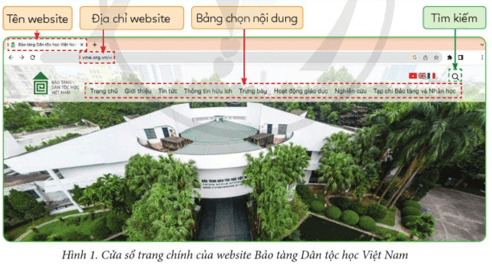 Tin học lớp 5 Cánh diều Bài 1: Tìm thông tin trên website