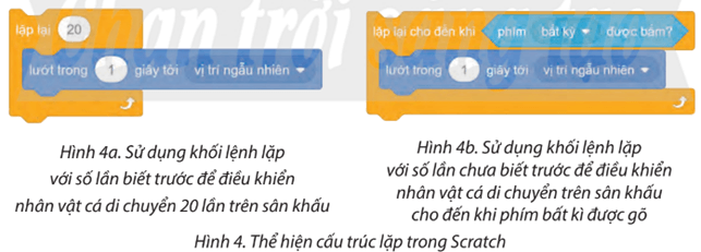 Tin học lớp 5 Chân trời sáng tạo Bài 11: Cấu trúc lặp