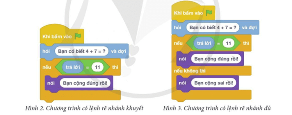 Tin học lớp 5 Cánh diều Bài 12: Cấu trúc rẽ nhánh