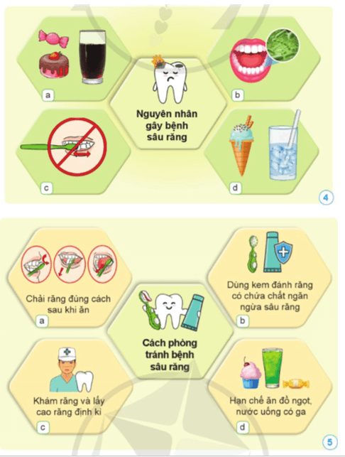 Khoa học lớp 5 Cánh diều Bài 12: Vi khuẩn và vi khuẩn gây bệnh ở người