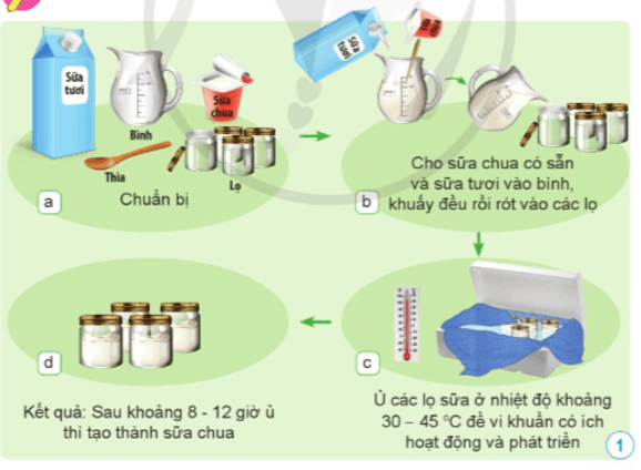 Khoa học lớp 5 Cánh diều Bài 13: Vi khuẩn có ích trong chế biến thực phẩm