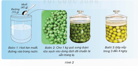 Khoa học lớp 5 Kết nối tri thức Bài 19: Vi khuẩn có ích trong chế biến thực phẩm