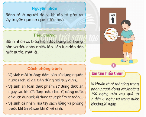 Khoa học lớp 5 Chân trời sáng tạo Bài 20: Một số bệnh ở người do vi khuẩn gây ra