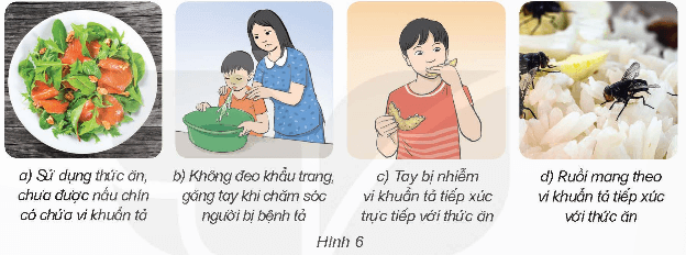 Khoa học lớp 5 Kết nối tri thức Bài 20: Vi khuẩn gây bệnh ở người và cách phòng tránh