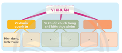 Khoa học lớp 5 Chân trời sáng tạo Bài 21: Ôn tập chủ đề Vi khuẩn