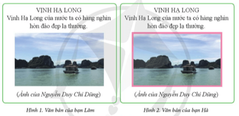 Tin học lớp 5 Cánh diều Bài 3: Thực hành chèn ảnh vào văn bản