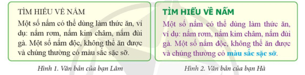 Tin học lớp 5 Cánh diều Bài 4: Định dạng kí tự