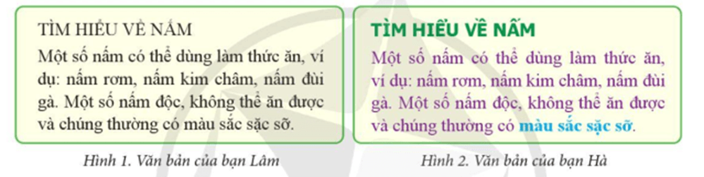 Tin học lớp 5 Cánh diều Bài 4: Định dạng kí tự