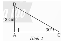 Bài 5 trang 72 Toán 9 Tập 1 Chân trời sáng tạo | Giải Toán 9