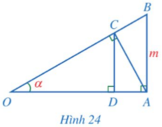 Bài 5 trang 87 Toán 9 Tập 1 Cánh diều | Giải Toán 9