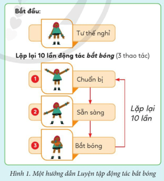 Tin học lớp 5 Cánh diều Bài 6: Cấu trúc lặp với số lần biết trước