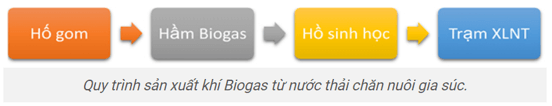 Một số hộ gia đình ở nông thôn đã và đang sử dụng biogas trong sinh hoạt thay thế cho việc dùng than