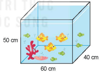 Toán lớp 5 Kết nối tri thức Bài 72: Ôn tập đo lường (trang 119) | Giải Toán lớp 5