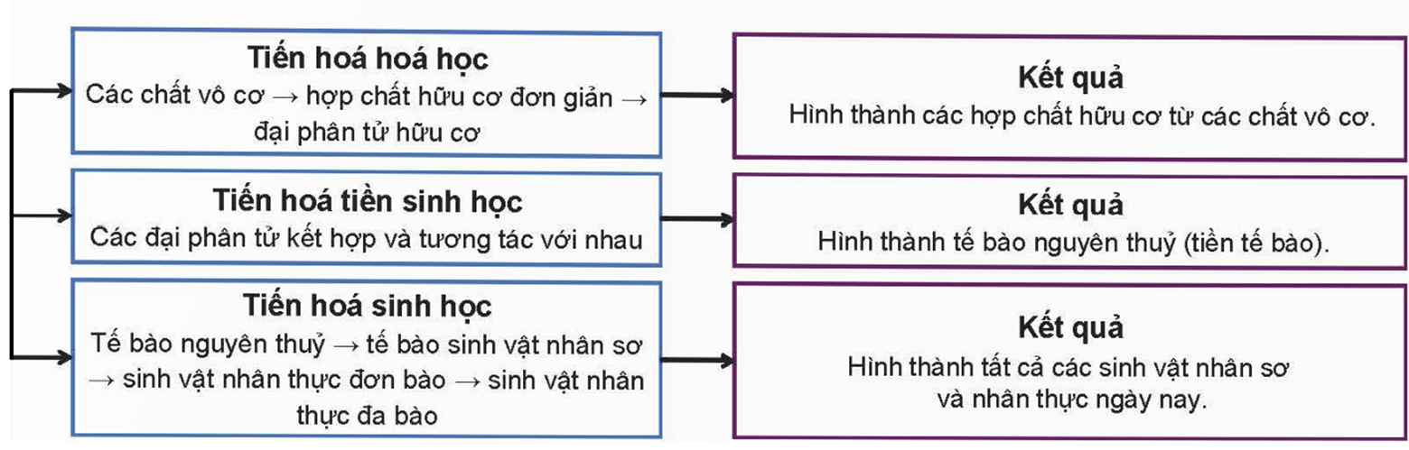 Viết sơ đồ tóm tắt đặc điểm các giai đoạn phát triển sự sống trên Trái Đất