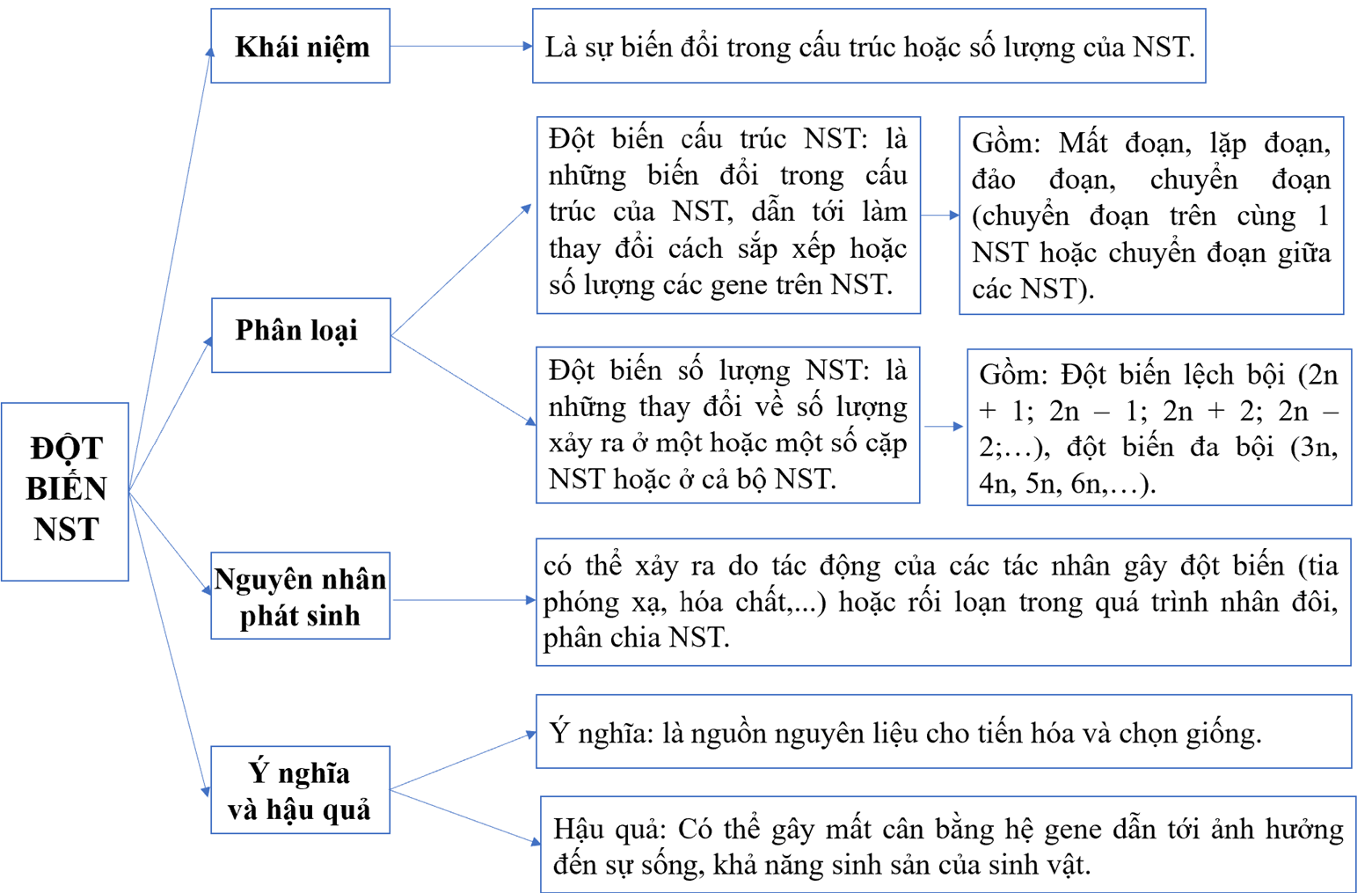 Lập sơ đồ tóm tắt kiến thức đã học về đột biến gene và đột biến nhiễm sắc thể