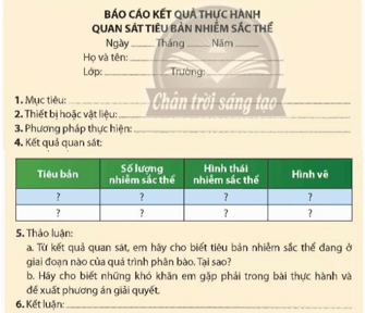 Viết và trình bày báo cáo theo mẫu trang 176 KHTN 9