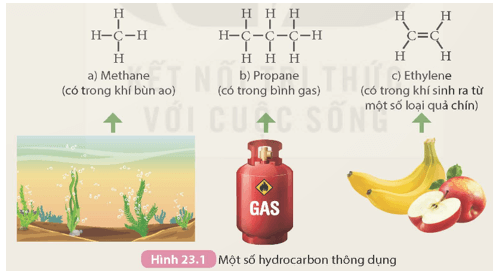 Quan sát Hình 23.1 và cho biết hợp chất nào không thuộc loại alkane Giải thích