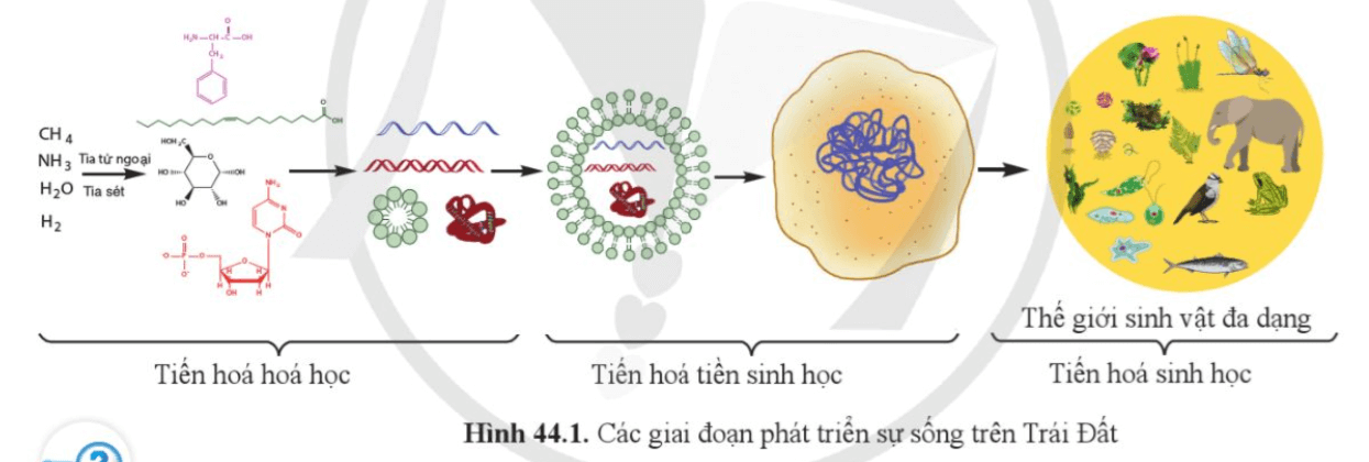 Quan sát hình 44.1, trình bày khái quát quá trình phát triển của thế giới sinh vật trên Trái Đất