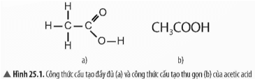 Quan sát Hình 25.1, hãy nêu nhận xét về công thức cấu tạo của acetic acid