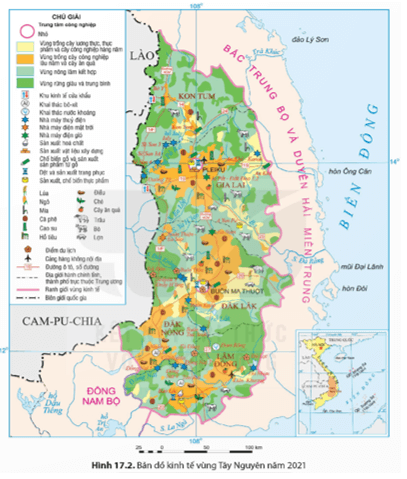 Dựa vào thông tin mục d và hình 17.2 hãy trình bày sự phát triển và phân bố