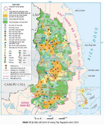 Dựa vào thông tin mục c và hình 17.2, hãy trình bày sự phát triển và phân bố