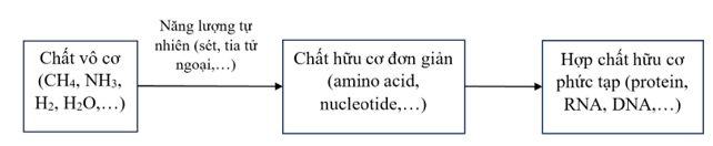 Tiến hóa hóa học là gì? Hãy vẽ sơ đồ khái quát quá trình tiến hóa hóa học