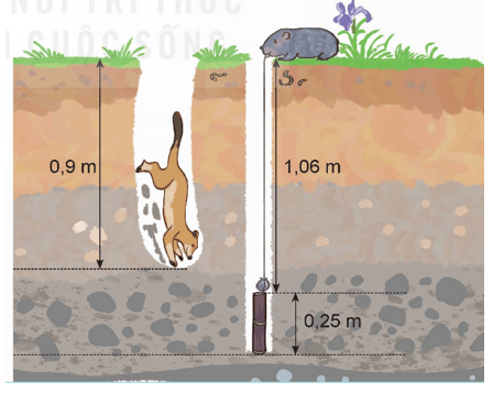 Toán lớp 5 Kết nối tri thức Bài 24: Luyện tập chung (trang 88) | Giải Toán lớp 5