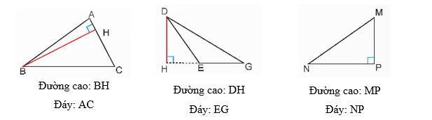 Toán lớp 5 Kết nối tri thức Bài 25: Hình tam giác. Diện tích hình tam giác (trang 91) | Giải Toán lớp 5