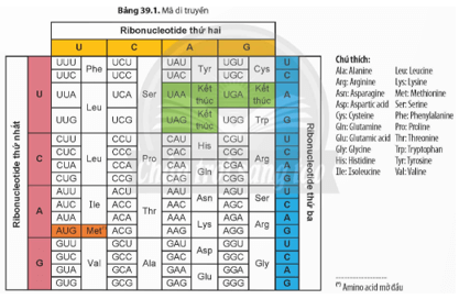 Quan sát Bảng 39.1 và đọc thông tin trong bài, hãy cho biết