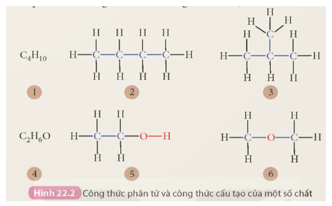 Em hãy cho biết trong các công thức từ (1) đến (6) trong Hình 22.2