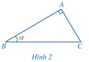 Hoạt động 1 trang 74 Toán 9 Tập 1 Cánh diều | Giải Toán 9