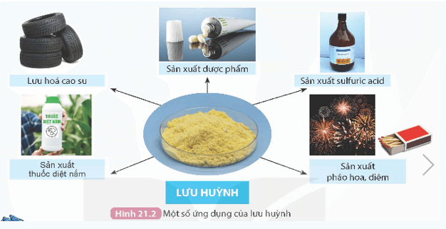 Sử dụng Hình 21.2, kết hợp với những hiểu biết của em trong thực tế, em hãy trình bày một số ứng dụng