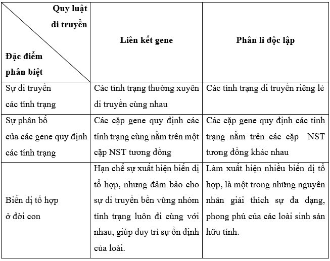 Dựa vào kiến thức đã học, phân biệt quy luật di truyền liên kết với quy luật di truyền phân li độc lập