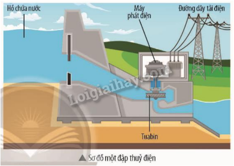 Giải SGK Khoa học tự nhiên 9 Bài 2 (Chân trời sáng tạo): Cơ năng (ảnh 7)