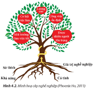 Hãy nêu những cơ sở lựa chọn nghề nghiệp và thành quả đạt được theo lý thuyết cây nghề nghiệp minh họa ở Hình 4.2