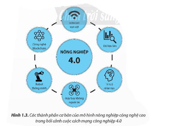 Quan sát Hình 1.3, từ đó mô tả thành phần cơ bản của mô hình nông nghiệp công nghệ cao