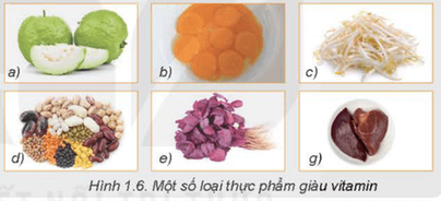 Phân tích Bảng 1.1 hãy kể một số loại vitamin thiết  yếu và cho biết mỗi loại thực phẩm