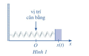 Câu hỏi khởi động trang 9 Toán 12 Cánh diều Tập 2 | Giải Toán 12