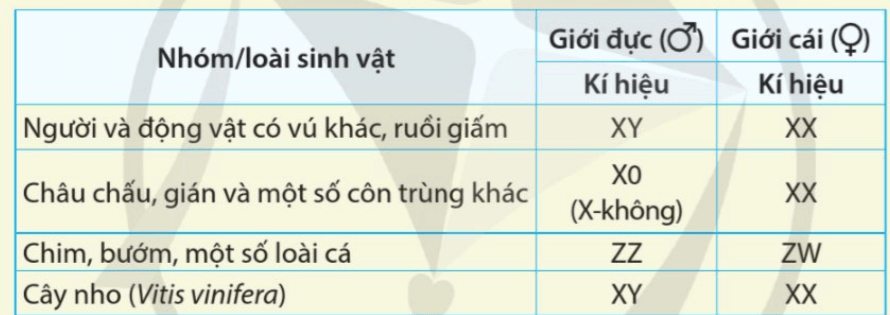 Quan sát bảng 35.1 và nhận xét về số lượng nhiễm sắc thể giới tính