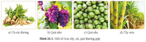 Quan sát hình 26.1 và cho biết những loại củ, quả, thân thực vật nào có vị ngọt