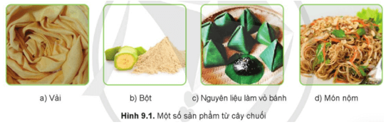 Em hãy cho biết các sản phẩm trong Hình 9.1 làm từ bộ phận nào sau đây của cây chuối