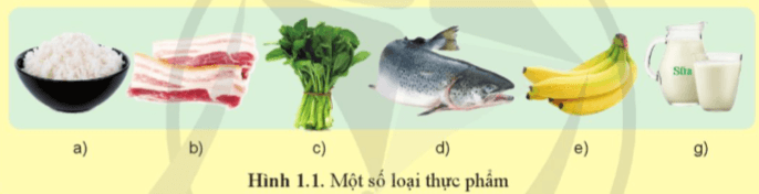 Hãy kể tên một số chất dinh dưỡng chính có trong thực phẩm ở Hình 1.1