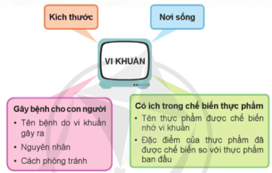 Khoa học lớp 5 Cánh diều Ôn tập chủ đề Vi khuẩn