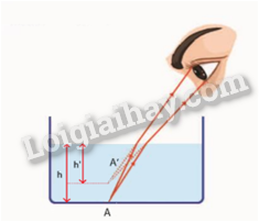 Giải SGK Khoa học tự nhiên 9 Bài 4 (Chân trời sáng tạo): Khúc xạ ánh sáng (ảnh 6)