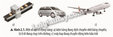 Giải SGK Khoa học tự nhiên 9 Bài 2 (Chân trời sáng tạo): Cơ năng (ảnh 2)